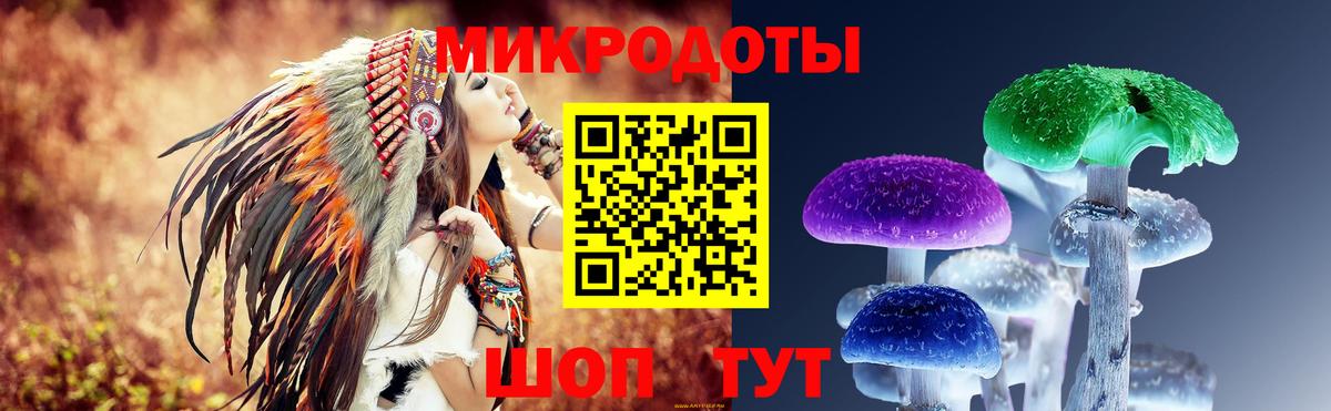 Галлюциногенные грибы ЛСД  Галлюциногенные грибы мицелий  Губкин  Вход с VPN 